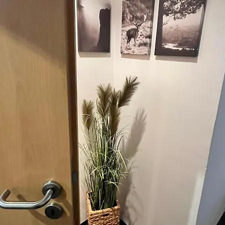 Apartment - 3 Schlafzimmer - Zentrale Lage - Garten *